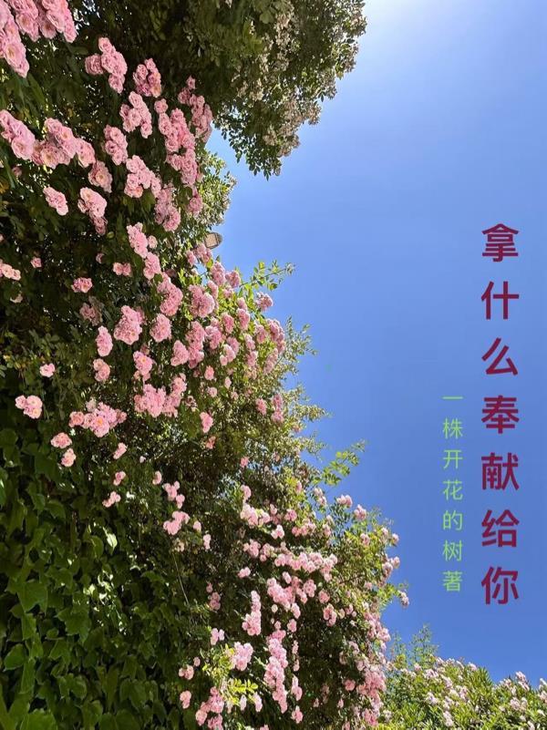 天地一妖仙