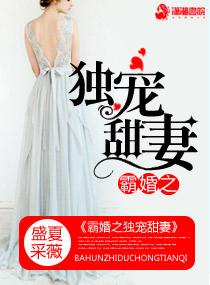 夏宝传Ⅲ