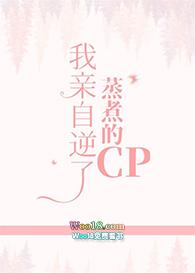寡夫郎有喜了