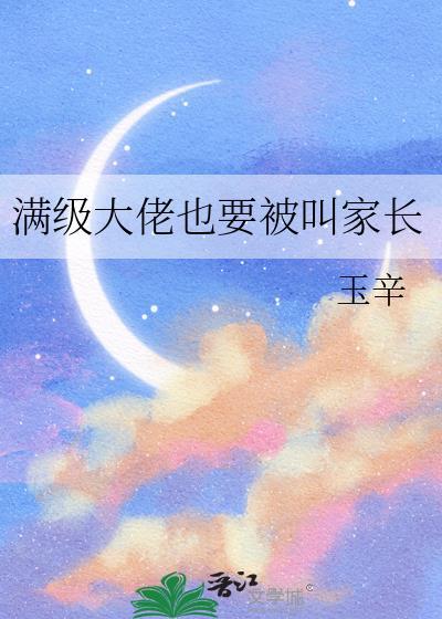 光明壁垒全本小说