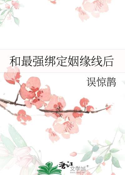 光明壁垒小说