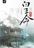 剑起长安