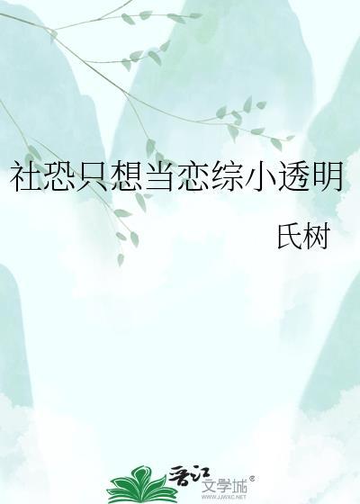 悖论 小说流苏