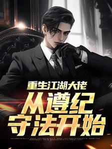大宋寒士亦正亦邪定乾坤