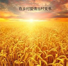跳龙门