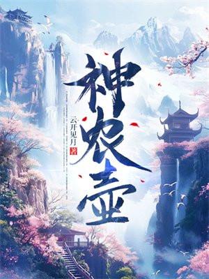 护国战婿