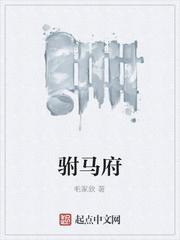 始皇破防了,我现场译出百家典籍