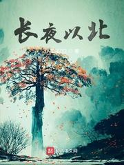赛博修仙，我的代码是鸿蒙道祖
