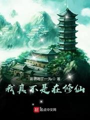 神奇宝贝羁绊进化大全