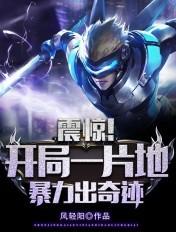 主角是风水师叫苏九