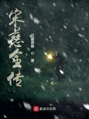 巅峰玩家内