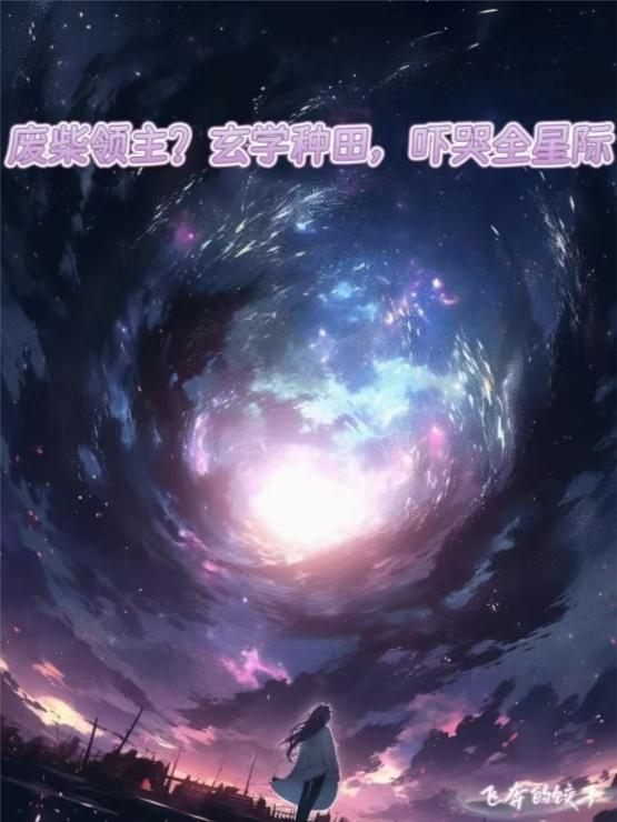 张明帝：终极代码