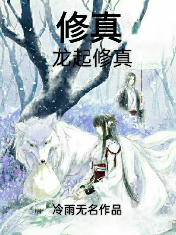 豪门战婿