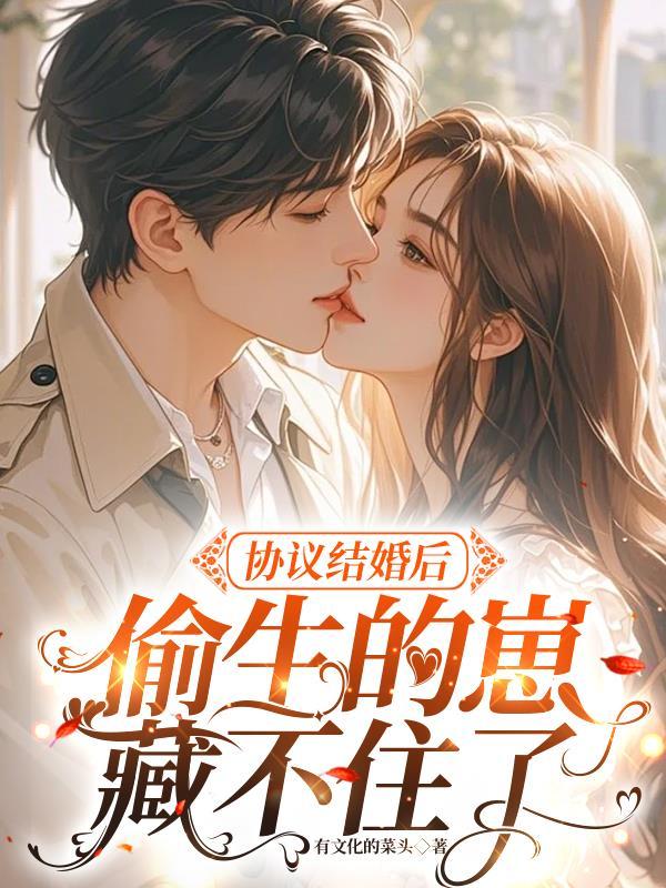 刀剑神域：完美人生