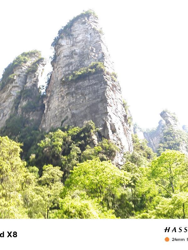 海贼：出了圣地才知道杀人犯法
