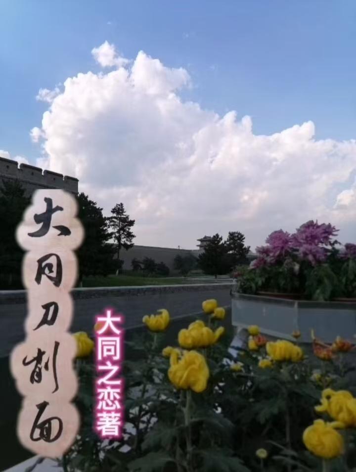 林老太重生：离婚，发疯，暴富！