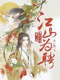 骑士武装系统
