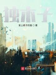 苏信天炎皇朝小说