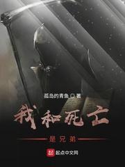 白洛原神之我是至冬使节