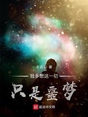叛城小说by弃吴钩