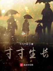 晚唐藩镇，天下第一节度使