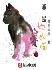 张玄沈沐岚
