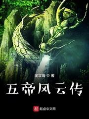 穿越之妃要当家