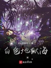 沈知棠伍远征