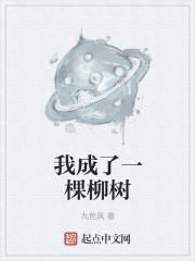 苏青禾陆北臣
