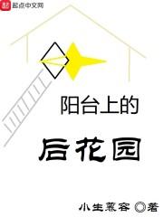 大周第一赘婿