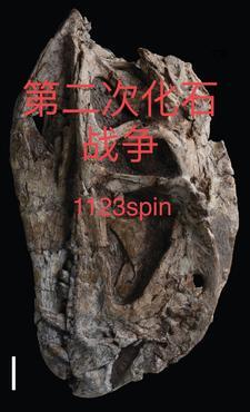 我哥他不装了！