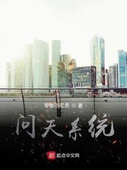 机动风暴