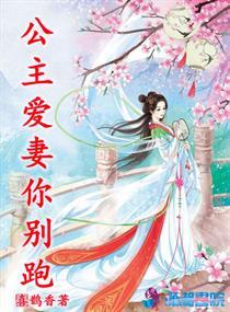 叶枫叶晓晓小说名字是什么