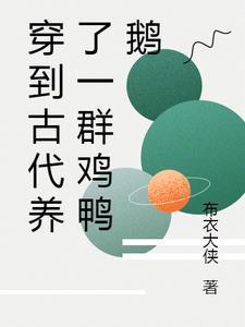 美丽灵感