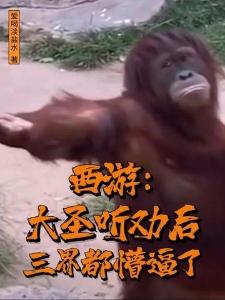 无限就职
