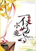谛听神兽四岁半