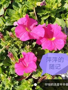和顶流影帝结婚后