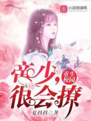 海贼之海军霸拳