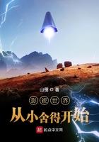 路人甲小姐拒绝开后宫